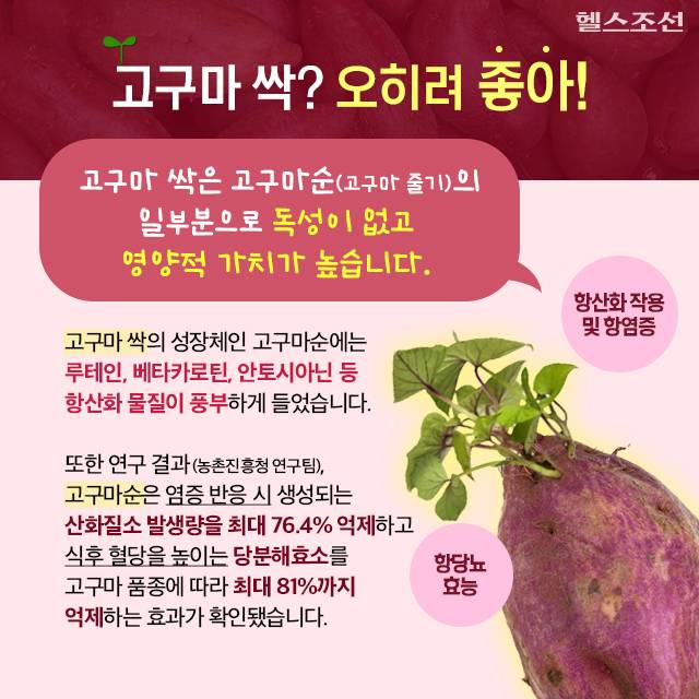 사진=헬스조선DB