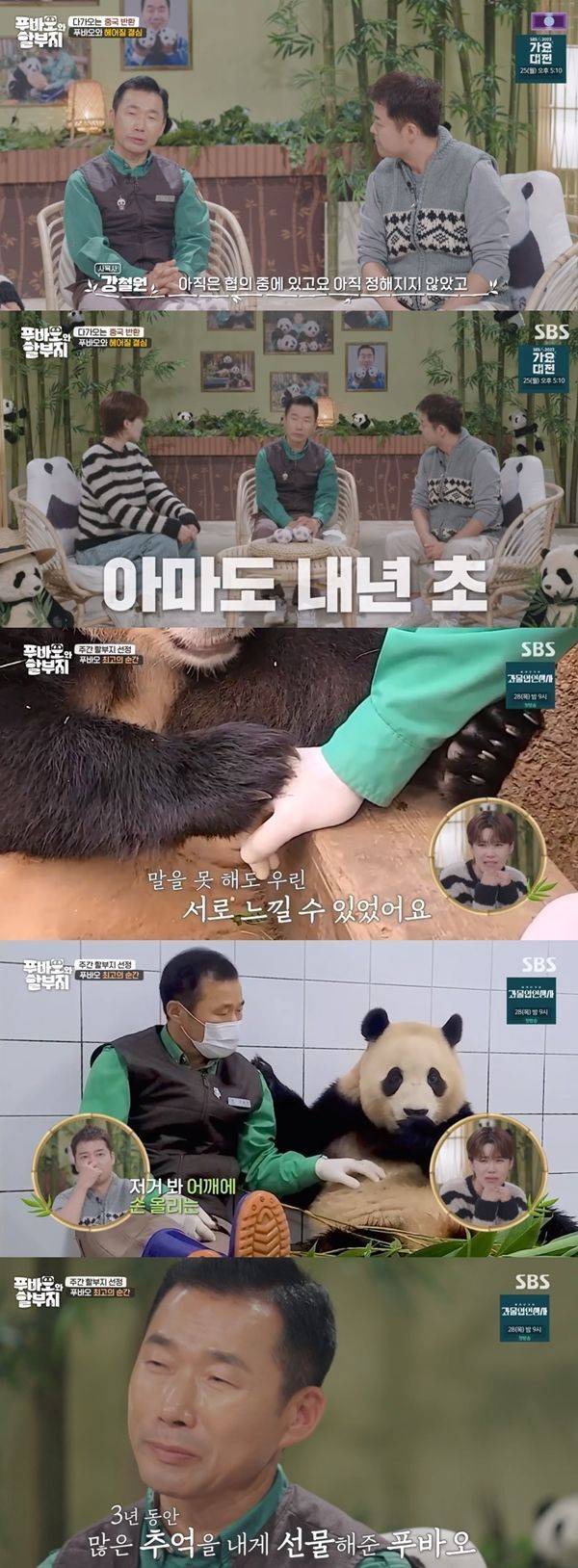 푸바오와 할부지 / 사진=SBS 캡처