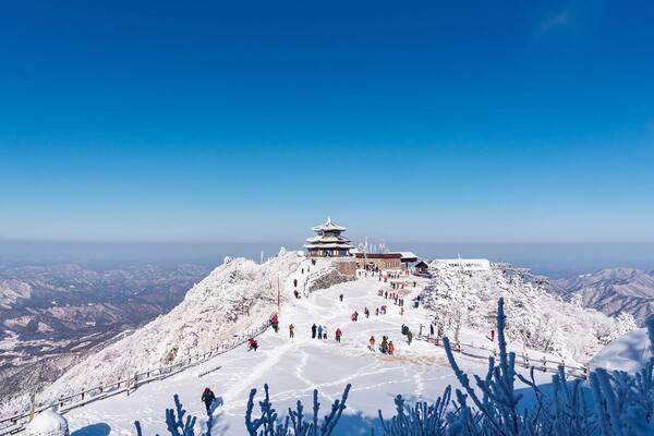 온라인 커뮤니티
