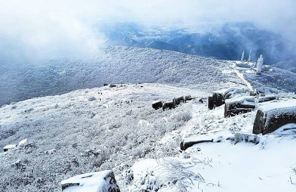온라인 커뮤니티