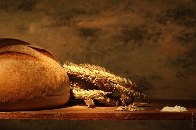 이스라엘 언어인 히브리어로 베들레헴은 빵집이라는 뜻이다.