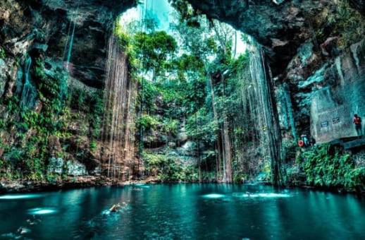 온라인 커뮤니티