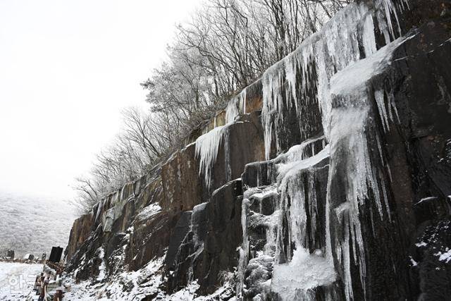 원효사에서 장불재로 이어지는 임도 절개지에 고드름이 주렁주렁 달려 있다.