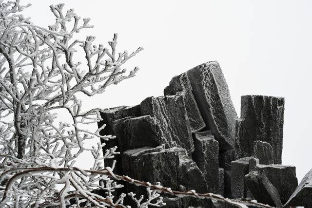 눈꽃과 검은 바위가 빚은 흑백의 조화가 아름답다.