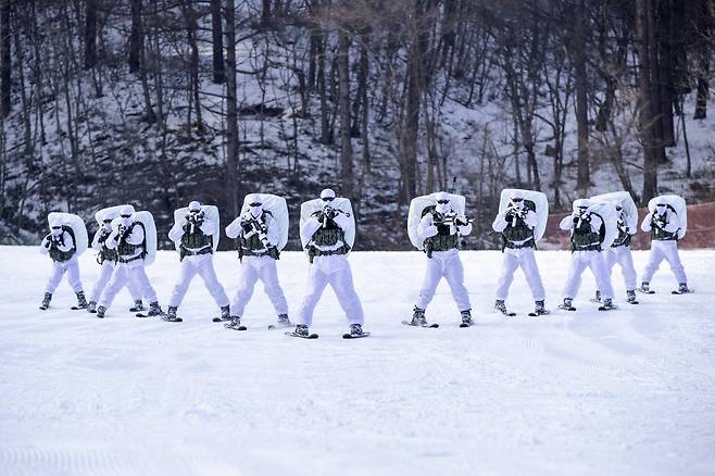 육군 특전사 장병이 황병산 훈련장 일대에서 스키를 활용한 전술 기동을 실시하고 있다. 육군 제공