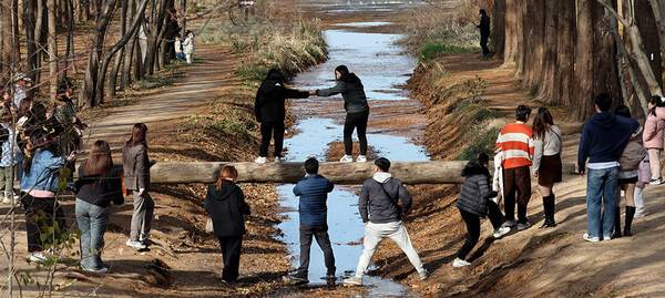 온라인 커뮤니티