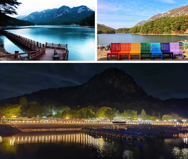 온라인 커뮤니티