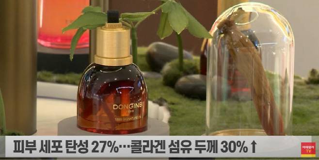 이데일리TV 뉴스.