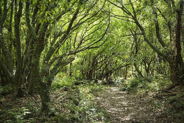 사진제공: 호텔스닷컴