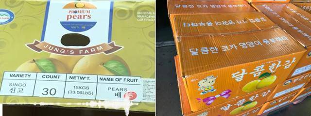 지난해 베트남 하노이에서 적발된 '한국 배' 상자. 겉면에 '신고, 배' 등 한글이 적혀있지만 원산지는 중국인 가짜다(왼쪽 사진). 오른쪽은 2021년 태국 딸랏타이 시장에서 발견된 가짜 한국 감 상자. 역시 중국산이다. 베트남 VTV캡처·농림축산식품부 제공
