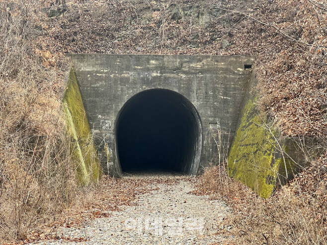 과거 열차가 지나던 와룡터널은 ‘빛의 터널’로 개발이 추진된다.