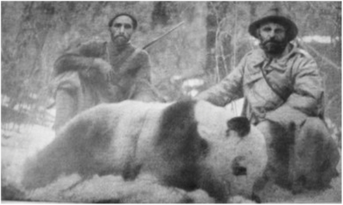 1929년 중국에서 팬더를 사냥한 뒤 기념촬영중인 시어도어 루즈벨트 주니어와 커밋 루즈벨트. [사진=시카고 필드 박물관]