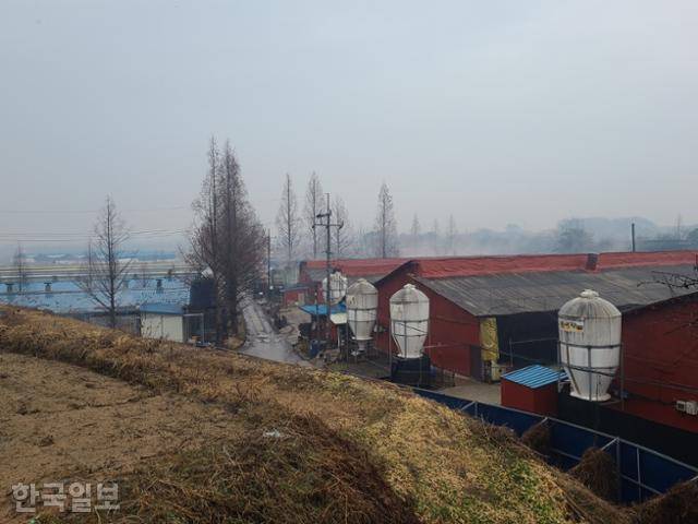17일 충남 논산 광석면 광석양돈단지 전경. 광석단지영농조합법인은 해당 단지가 농림축산식품부의 스마트 축산단지 조성사업에 선정되면 자발적으로 휴업하고 기존 단지를 재건축하겠다는 방침이다. 논산=윤현종 기자