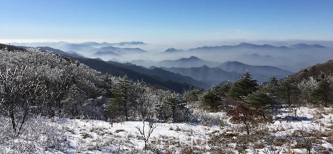 소백산/ 사진-단양군