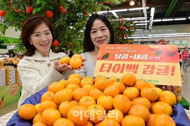 서울 서초구 하나로마트 양재점에서 모델들이 타이벡 감귤을 소개하고 있다. (사진=김태형 기자)