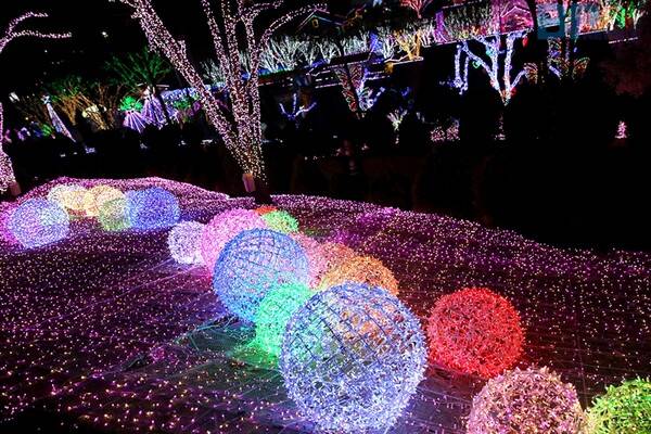 출처 = 청도 프로방스 홈 페이지