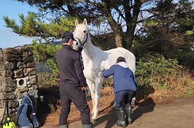 늘봄은 4일 저녁 제주에서 경남 사천 삼천포항까지 배로 이동한 뒤 5일 낮 미국행 비행기에 올랐다. 이동 준비를 하고 있는 늘봄의 모습. 단체 제공