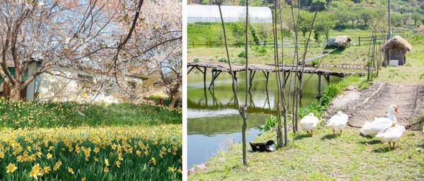 홍성 가볼한한곳 추천 / 온라인 커뮤니티