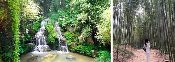 담양 가볼만한곳 추천 / @lee.sol_ / 온라인 커뮤니티