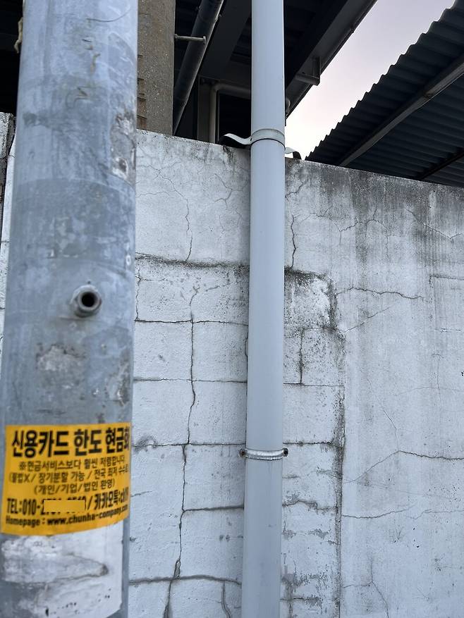 지난달 12일 대구 서구 비산동 염색산업단지 내 전봇대에 대출 알선 전단지가 붙어 있다. 박종오 기자