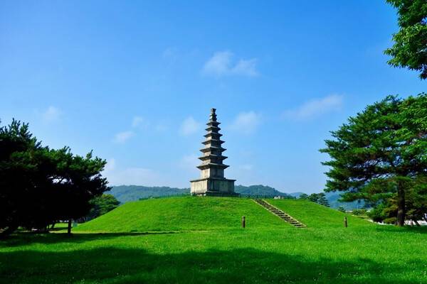 충주 가볼만한곳 BEST 5 / 온라인 커뮤니티