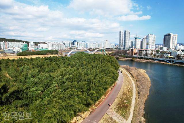 인구 100만 명이 넘는 대도시 중심에 조성된 태화강국가정원.