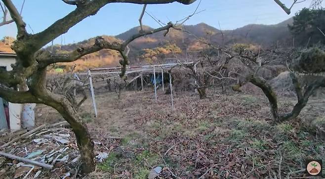 (유튜브 채널 '빠머스' 갈무리)