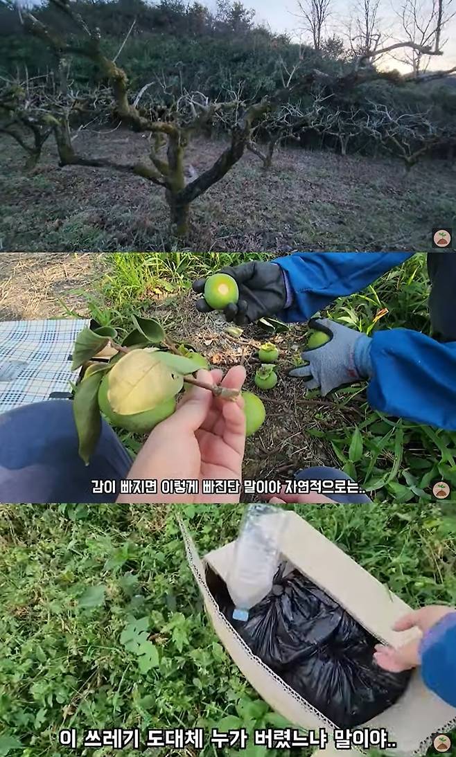 (유튜브 채널 '빠머스' 갈무리)