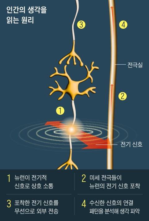 그래픽=김하경