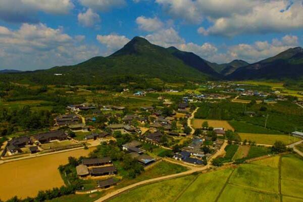 출처 = 온라인 커뮤니티