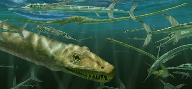 2억 4000만년 전 중생대에 살았던 파충류인 '디노케팔로사우루스 오리엔탈리스(Dinocephalosaurus orientalis)’의 상상도. 몸길이 6m에 용처럼 긴 목을 가졌던 것으로 추정됐다./Marlene Donelly