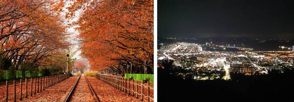 창원 가볼만한 곳 BEST 5 / 온라인 커뮤니티