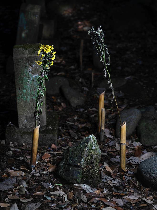일본 규슈 다가와시 소에다마치 휴가묘지에 있는 보타이시 무덤. 보타이시는 쓸모없는 돌이란 뜻이다. 과거 조선인 강제징용자 무덤을 이런 식으로 몰래 만들기도 했다. /김동우 작가