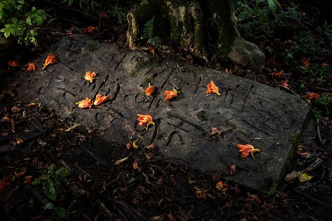 하와이 빅아일랜드 코나에 방치된 한 한인 무덤. 작은 비석조차 쓸수 없어 콘크리트를 부어 마감한 애잔한 무덤 위에는 한글과 한자가 뒤섞인 채 ‘경성 애오개 박기옥’ 등의 글귀가 남아 있다. /김동우 작가
