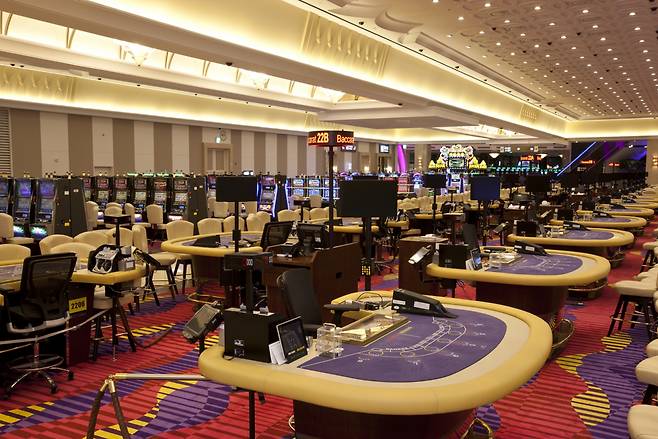 강원랜드 카지노