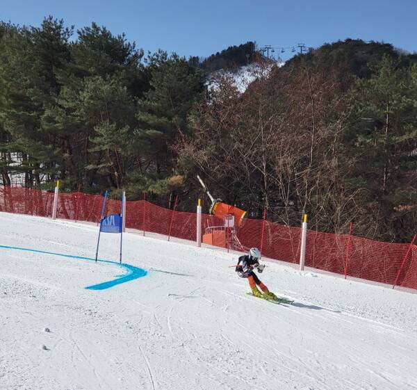 대회 참가선수가 대회 전경기 기문을 통과하며 활강하고 있다.
