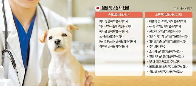 게티이미지뱅크