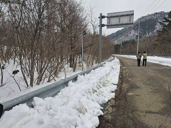 지난달 29일 설악산 국립공원 황태마을 인근에서 발견된 고립된 산양. 좌측으로는 차가 달리는 지방도가 있고 우측으로는 계곡과 산이 있지만 그 앞을 펜스가 가로막고 있다. 산양이 북부보전센터 산양 구조대가 산양을 산으로 유인할 길을 찾아 나서는 모습을 보고 있다. 인제=정은혜 기자