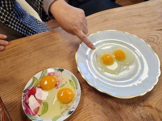 지난 5일 경북 상주시 공성면 무곡리 농업회사법인 명진 이상금 대표가 사흘 전 접시 위에 깨뜨려 놓은 날계란을 살펴보고 있다. 김정석 기자