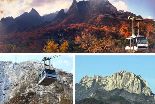 속초 가볼만한 곳 BEST 7 총정리 / 온라인 커뮤니티