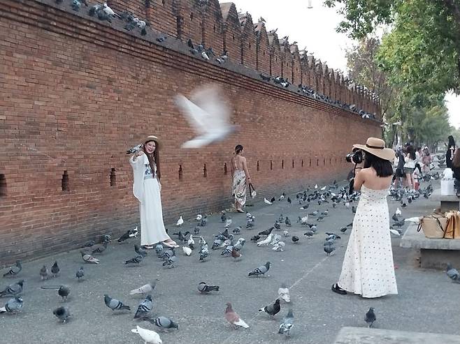 치앙마이 구 도심 동쪽에 위치한 타패게이트에서 관광객들이 비둘기와 함께 사진을 찍고 있다. 사진 이환주 기자.