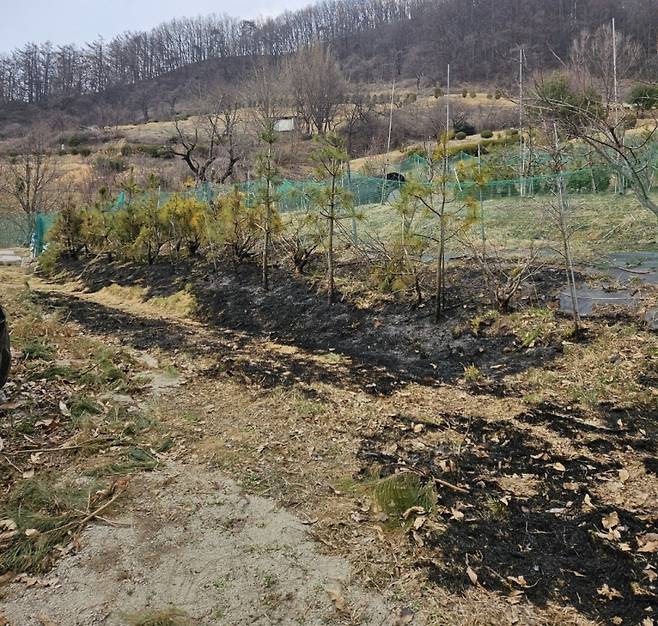 ▲ 현장 사진 : 충북 보은소방서