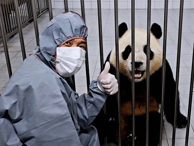 송영관 사육사와 푸바오. /주토피아 카페