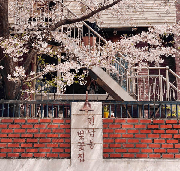 온라인 커뮤니티