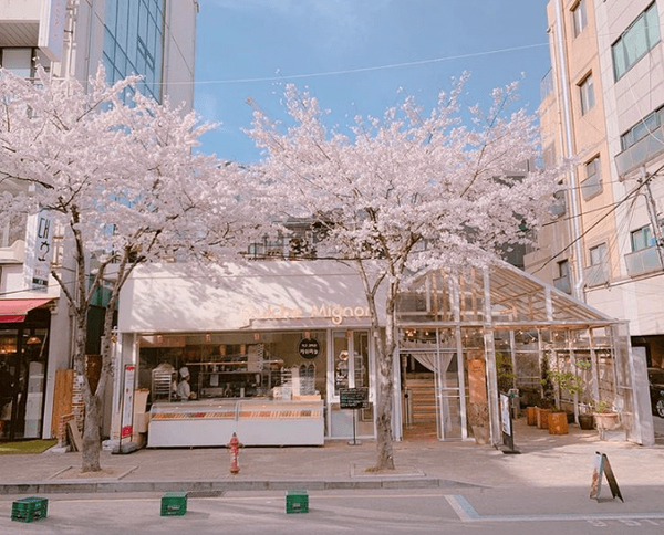 온라인 커뮤니티