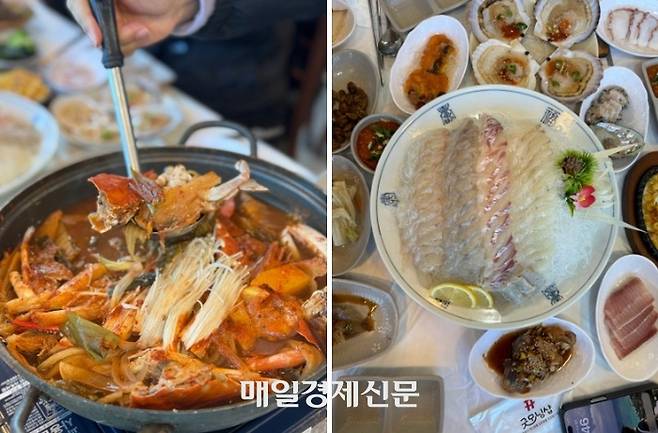 태안 향토음식 게국지(왼쪽), 모둠회(오른쪽) / 사진=홍지연 여행+ 기자