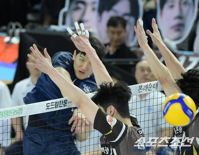 대한항공 정지석이 스파이크를 때리고 있다. 사진제공=KOVO