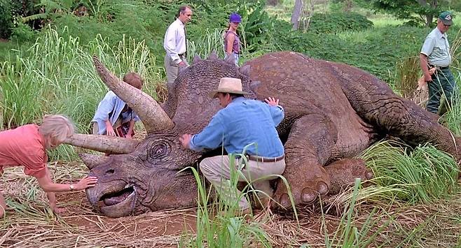 1993년 개봉한 영화 쥬라기공원에서 처음 등장한 공룡인 트리케라톱스. 1997년 2편에서는 육식공룡에 맞서 무리를 지은 모습이 나왔다. 과학자들이 27년 만에 화석을 통해 실제로 공룡이 집단생활을 했음을 확인했다./유니버셜 픽처스