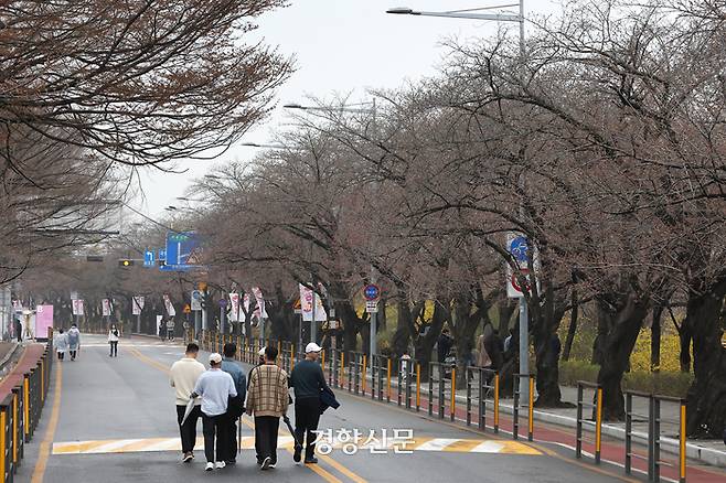 영등포 여의도 봄꽃축제가 열린 서울 영등포구 여의서로 일대에 벚꽃이 대부분 개화하지 않아 한산한 모습을 보이고 있다.
