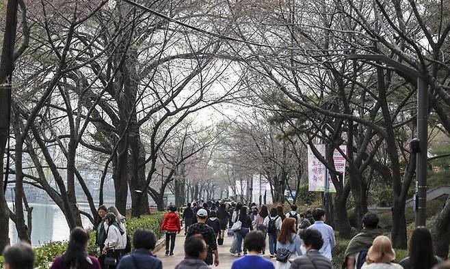 지난 27일 서울 송파구 석촌호수를 찾은 시민들이 벚나무 아래에서 걷고 있다. 송파구는 27일부터 오는 31일까지 석촌호수 일대에서 호수벚꽃축제를 개최한다. 뉴시스